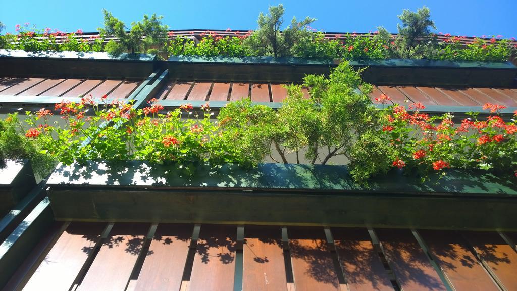 La Felce Bed & Breakfast Carisolo Dış mekan fotoğraf