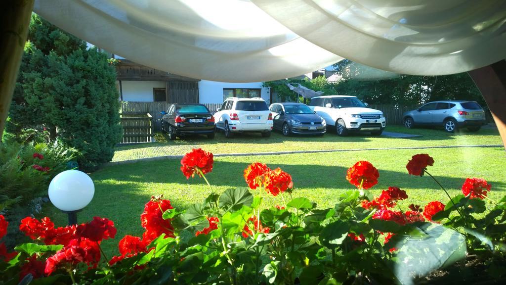 La Felce Bed & Breakfast Carisolo Dış mekan fotoğraf